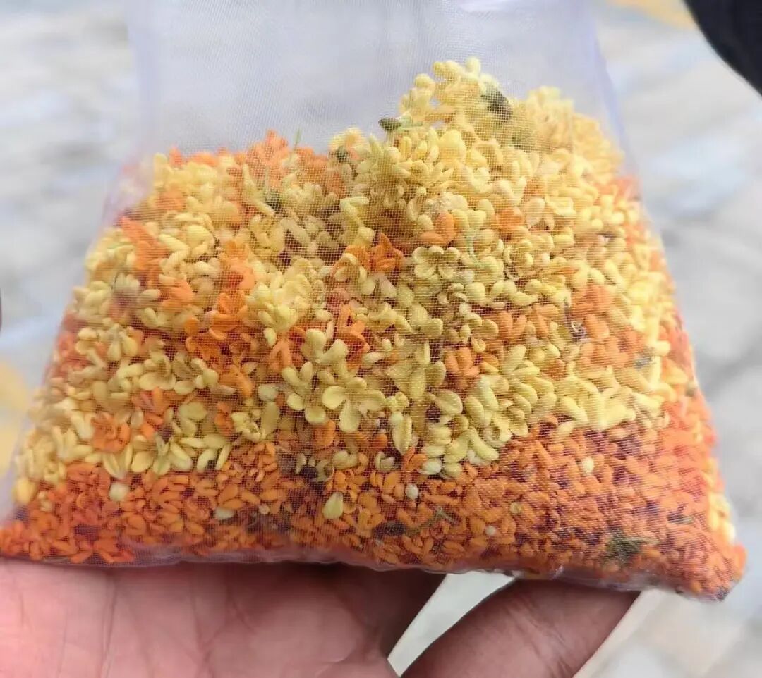 常州街头大量出现!不要吃!不要吃! 常州街头大量出现!不要吃!不要吃!