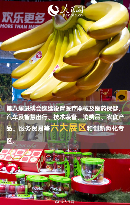 规模再创新高！9图速览第八届进博会亮点