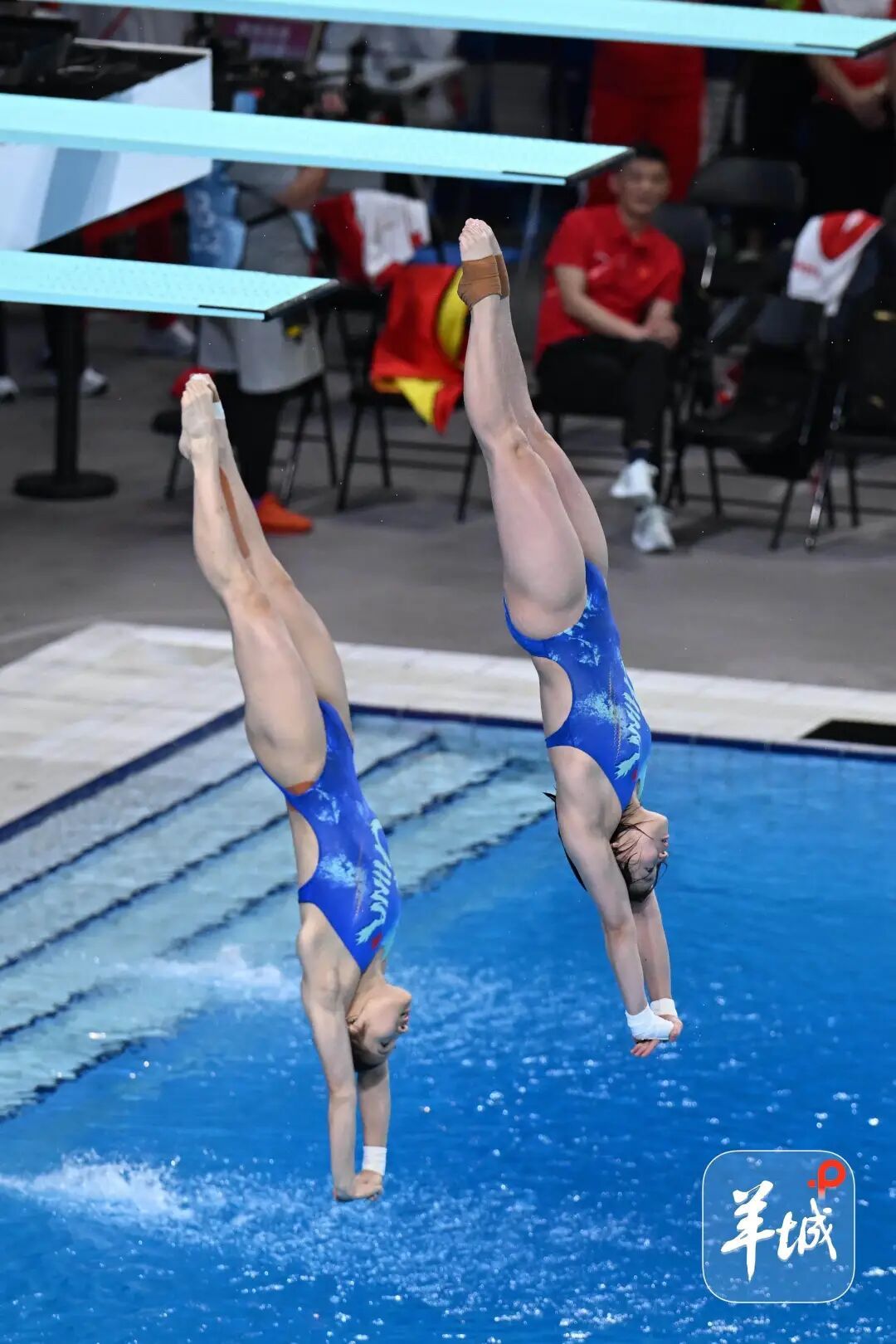 从预赛第三到决赛第五,全红婵尽力了 从预赛第三到决赛第五,全红婵尽力了