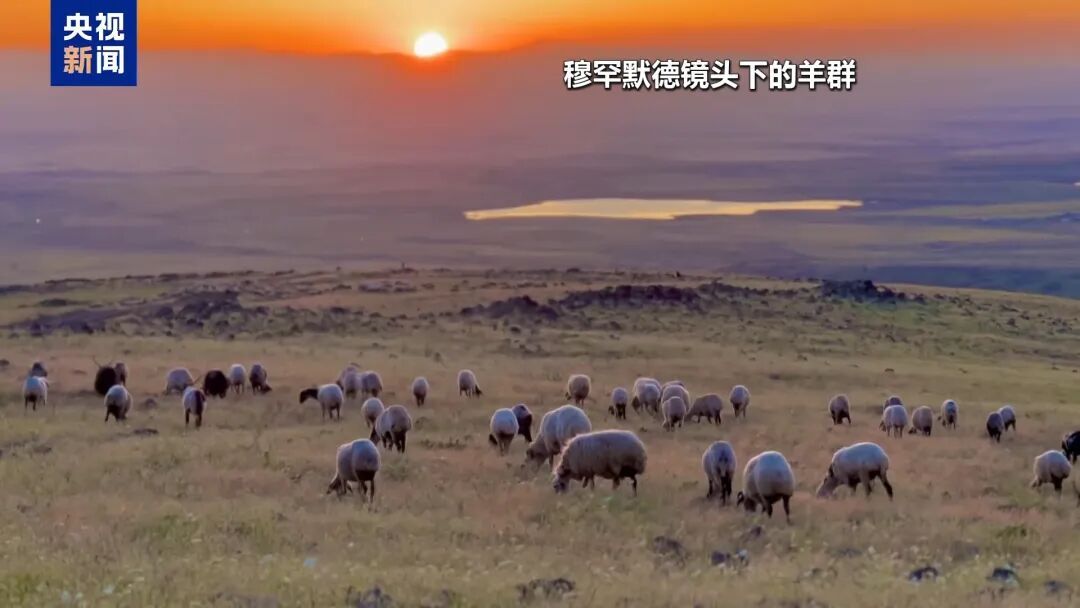 月薪两三万放羊,找不到人,急 月薪两三万放羊,找不到人,急