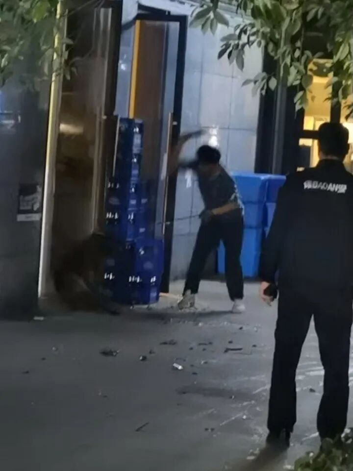 柯基犬主人持酒瓶暴打马犬事件进展:当事人被拘,马犬已脱离危险期 柯基犬主人持酒瓶暴打马犬事件进展:当事人被拘,马犬已脱离危险期