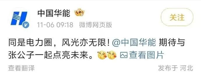 电力圈争相邀张凌赫当同事 电力圈争相邀张凌赫当同事