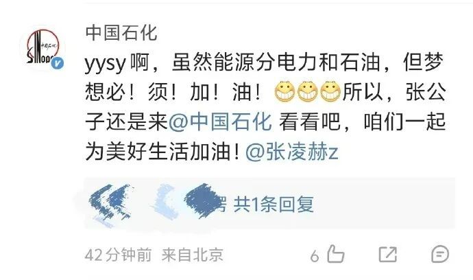 电力圈争相邀张凌赫当同事 电力圈争相邀张凌赫当同事