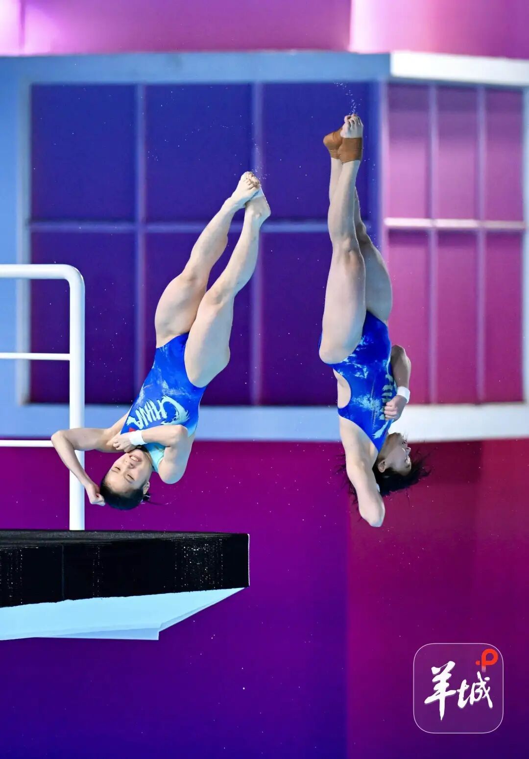 从预赛第三到决赛第五,全红婵尽力了 从预赛第三到决赛第五,全红婵尽力了