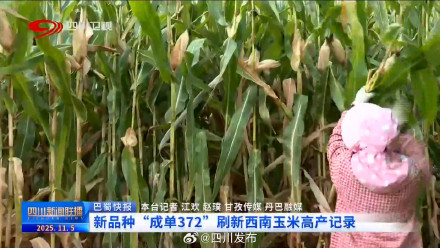 玉米新品种刷新西南玉米高产记录