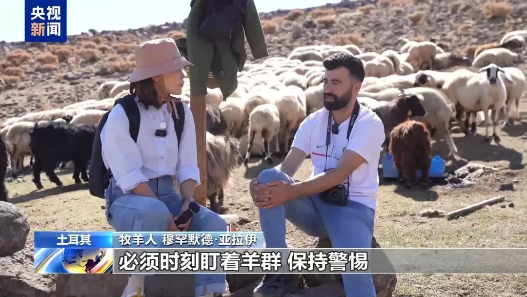 月薪两三万放羊,找不到人,急 月薪两三万放羊,找不到人,急