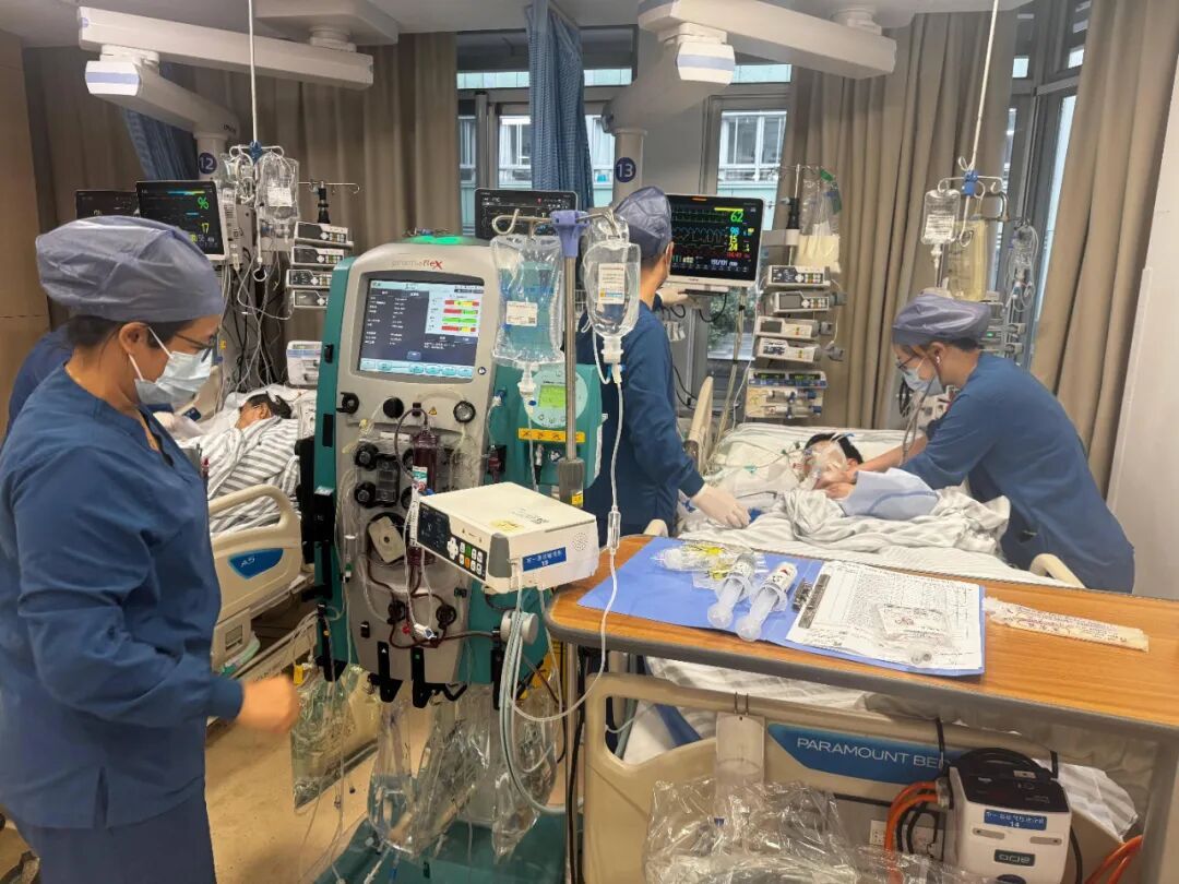 一场“小感冒”,男子体重掉了10多斤, 最后进了抢救室!元凶竟是家里养的鸽子… 一场“小感冒”,男子体重掉了10多斤, 最后进了抢救室!元凶竟是家里养的鸽子…