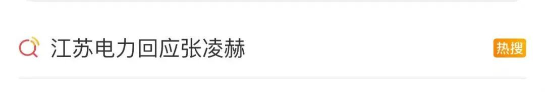 电力圈争相邀张凌赫当同事 电力圈争相邀张凌赫当同事