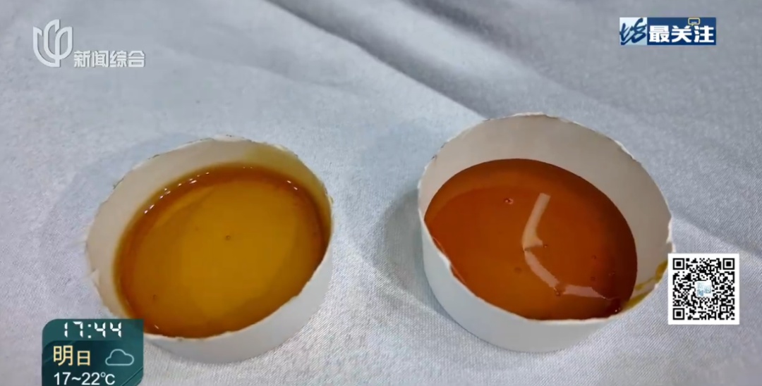 可试吃!这款"液体黄金"上海开售,12800元一斤!这届进博会绝了 可试吃!这款"液体黄金"上海开售,12800元一斤!这届进博会绝了