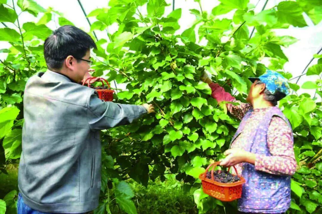 常州街头大量出现!不要吃!不要吃! 常州街头大量出现!不要吃!不要吃!
