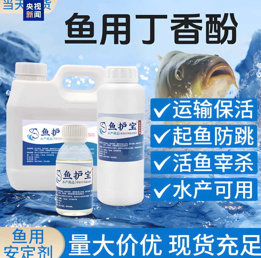 “麻醉鱼”到底能不能放心吃？专家解答