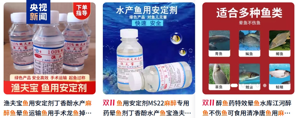 “麻醉鱼”到底能不能放心吃？专家解答