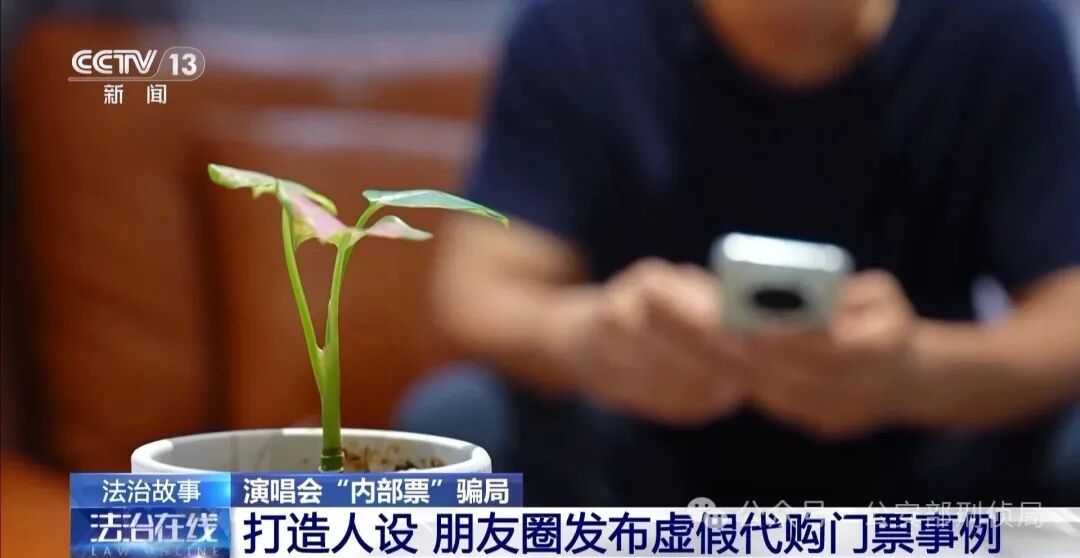 演唱会“内部票”让138万元打水漂？当心购票骗局！