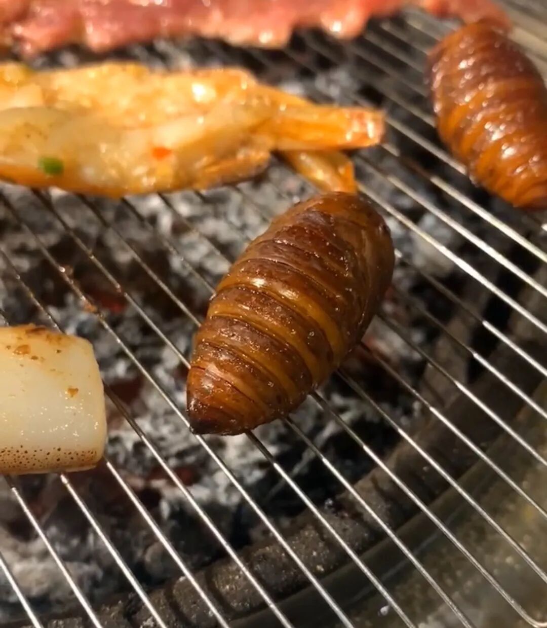 东北专属“黑暗料理”正大量上市！吃一个“香迷糊了”！但今年价格有点贵……