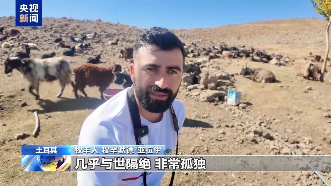 月薪两三万放羊,找不到人,急 月薪两三万放羊,找不到人,急