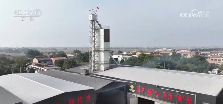 告别“地趴粮” 住进“好房子” 各地秋粮收储有“粮”方