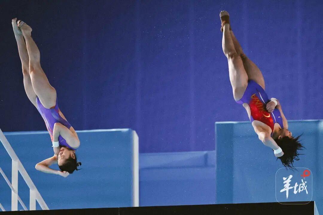 从预赛第三到决赛第五,全红婵尽力了 从预赛第三到决赛第五,全红婵尽力了