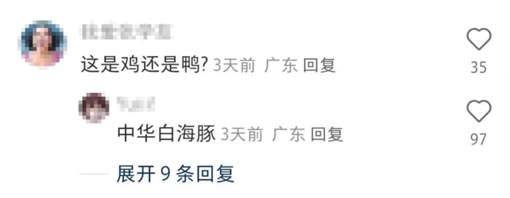 “大湾鸡”杀疯了!一场“鸡不可失”的双向奔赴 “大湾鸡”杀疯了!一场“鸡不可失”的双向奔赴
