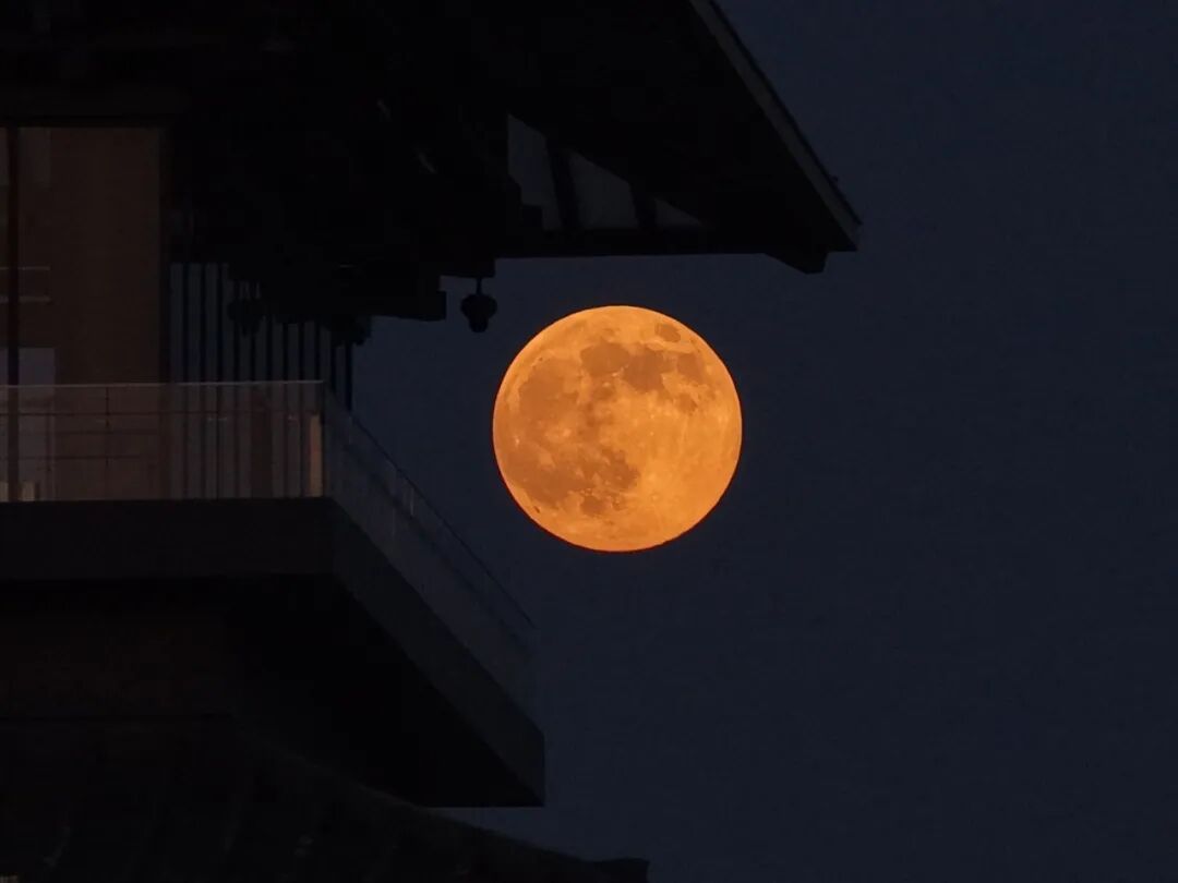 全网都在拍的“超级月亮”，高清大图来了！