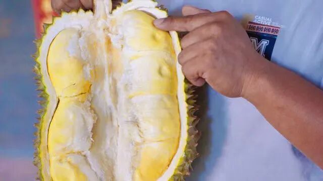 为实现榴莲自由,云南“打了个样” 为实现榴莲自由,云南“打了个样”