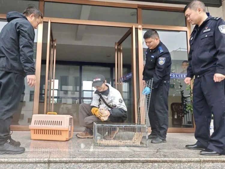 四只瑟瑟发抖的小家伙,成功获救! 四只瑟瑟发抖的小家伙,成功获救!