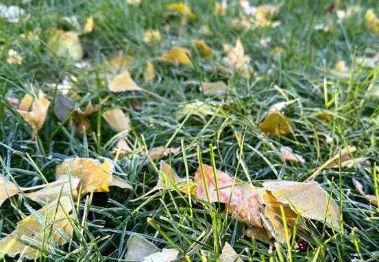 又迎“周末版”变天！雨雪今晚抵辽，还有降温、大风！