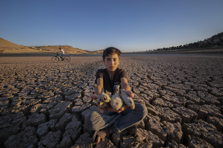 世界气象组织：2025年将成为有记录以来第二或第三热年份