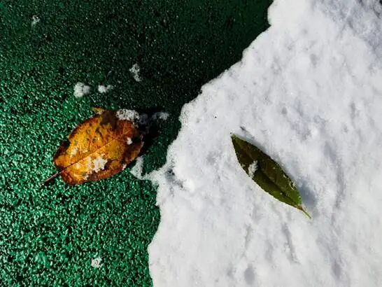 又迎“周末版”变天！雨雪今晚抵辽，还有降温、大风！