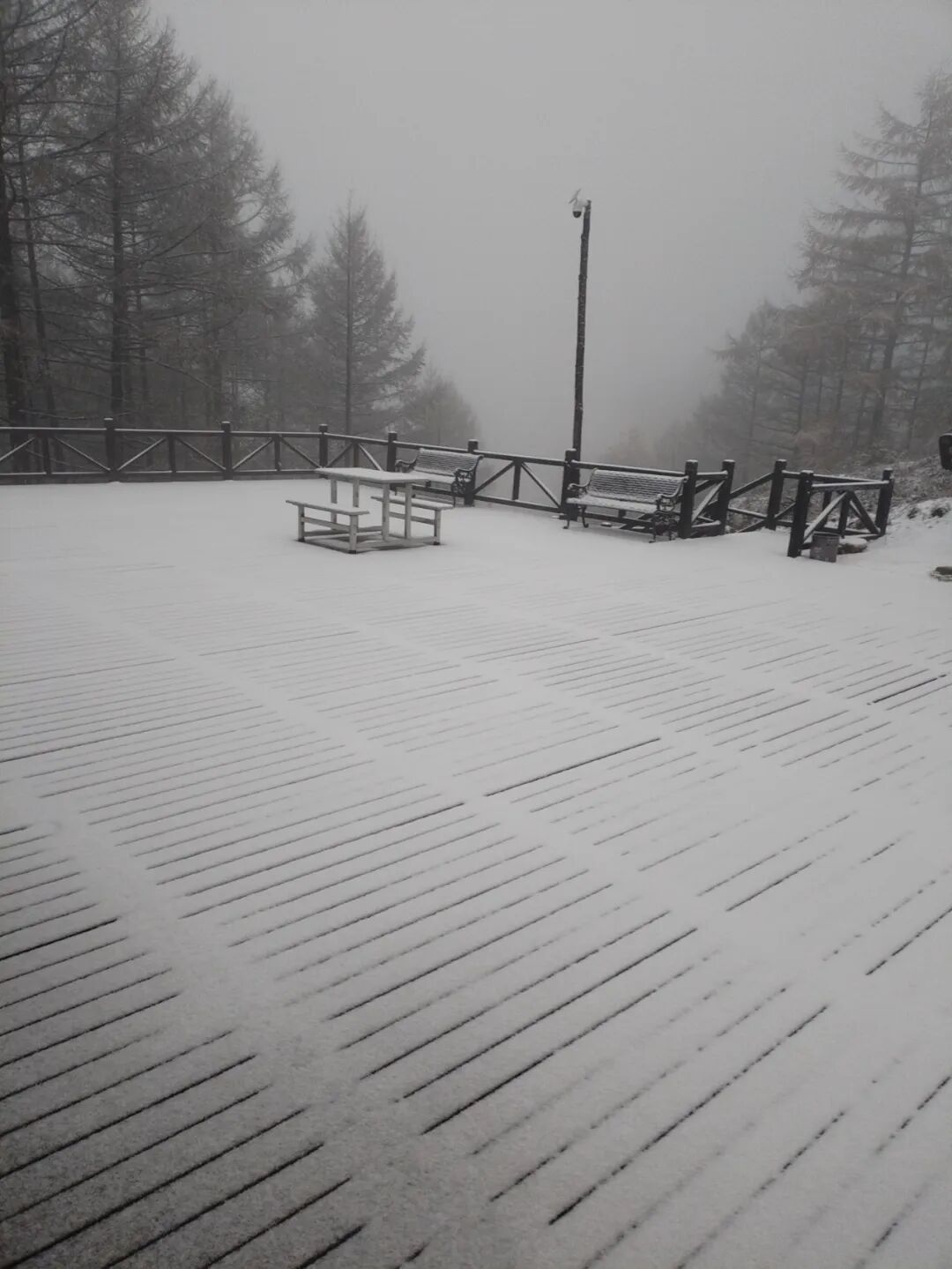 石家庄下雪了！中到大雪+中雨+降温！河北大范围降水来了……