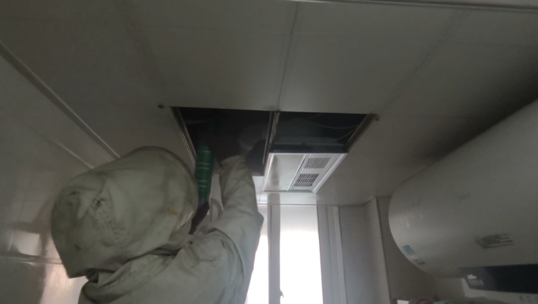 “太吓人了！”家里爬满了蜜蜂，消防员直接清出半桶