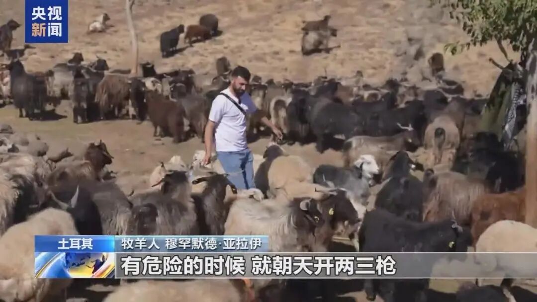 土耳其急招！月薪近3万元无人应聘