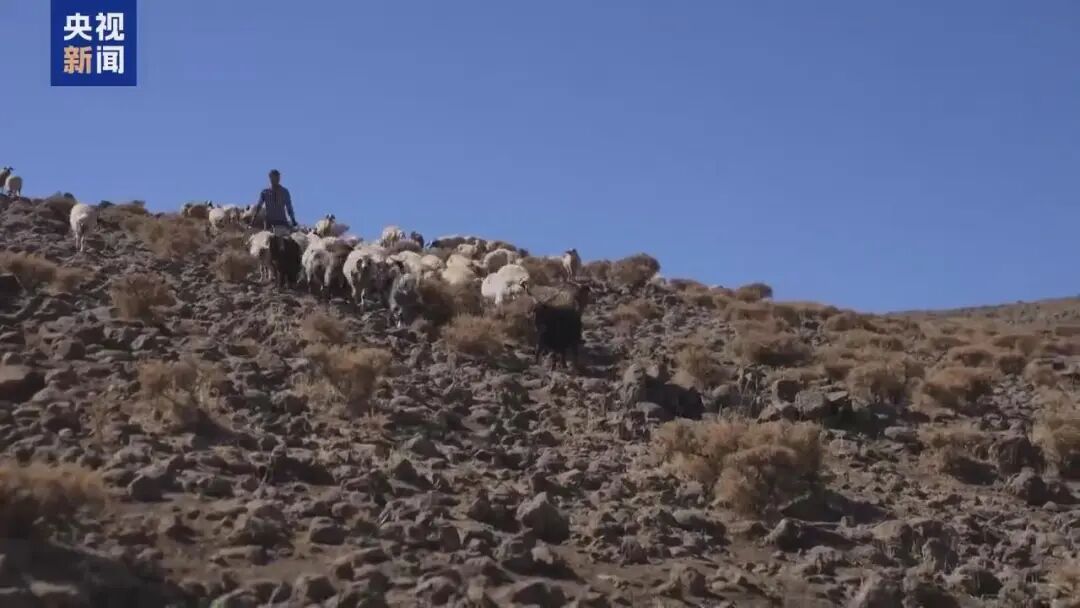 土耳其急招！月薪近3万元无人应聘