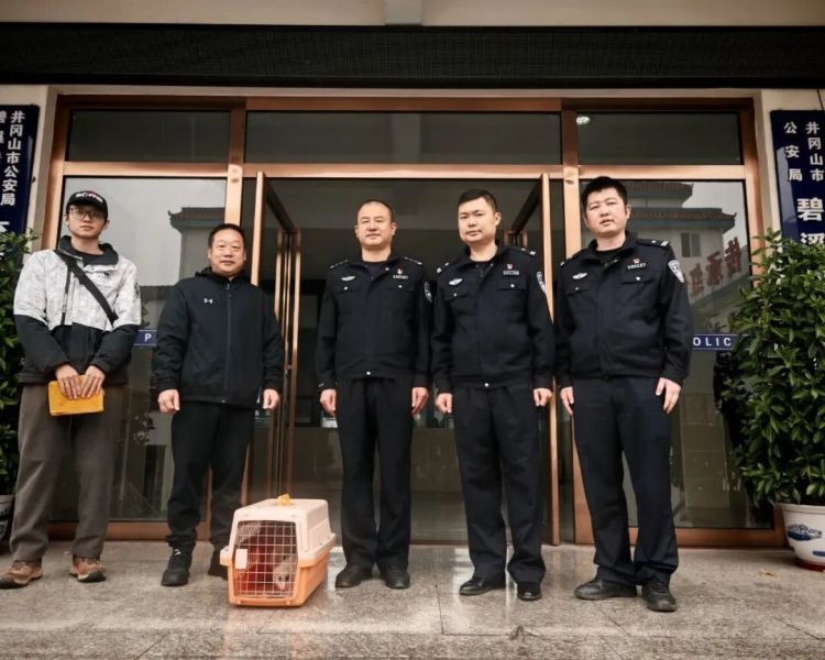 四只瑟瑟发抖的小家伙,成功获救! 四只瑟瑟发抖的小家伙,成功获救!