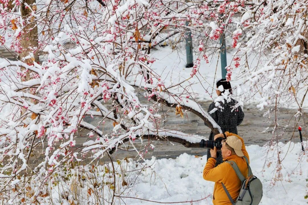 影响超20省份！大范围雨雪，要来了