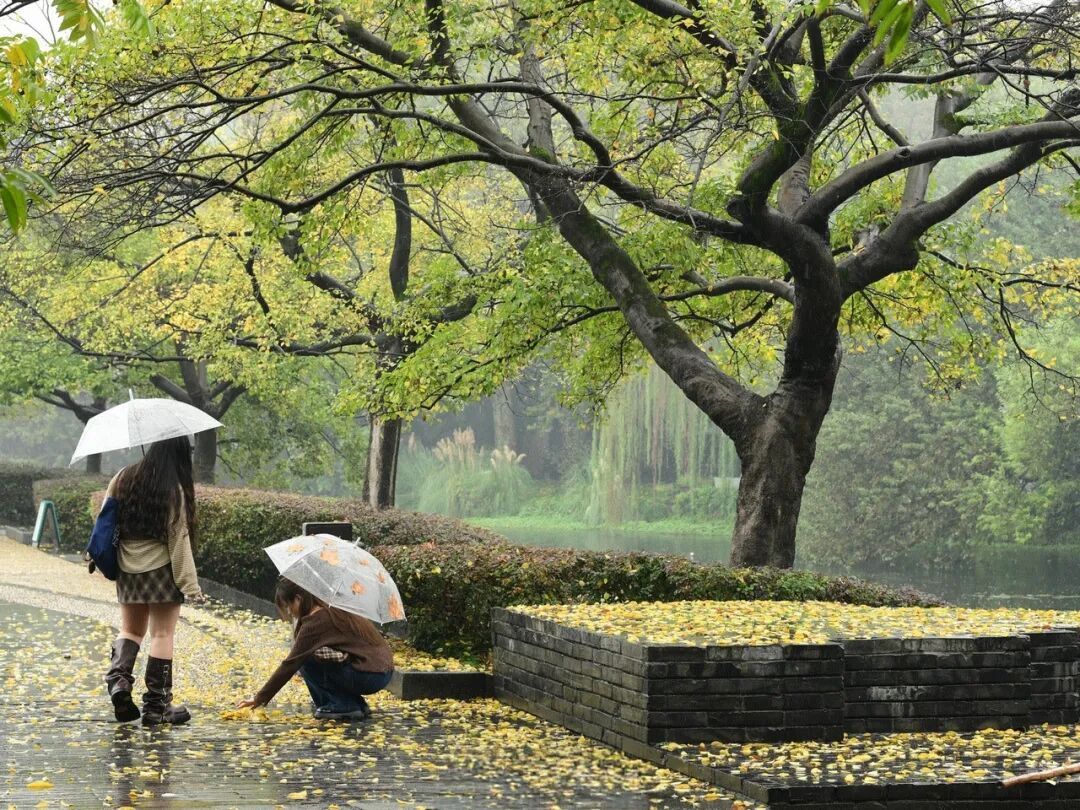 马上影响浙江！台风凤凰突然加强，预计路径发生大变