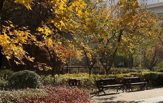 又迎“周末版”变天！雨雪今晚抵辽，还有降温、大风！