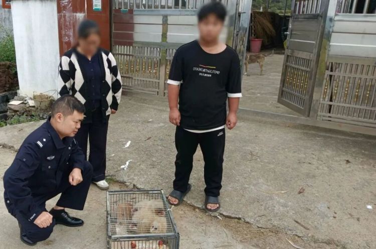 四只瑟瑟发抖的小家伙,成功获救! 四只瑟瑟发抖的小家伙,成功获救!