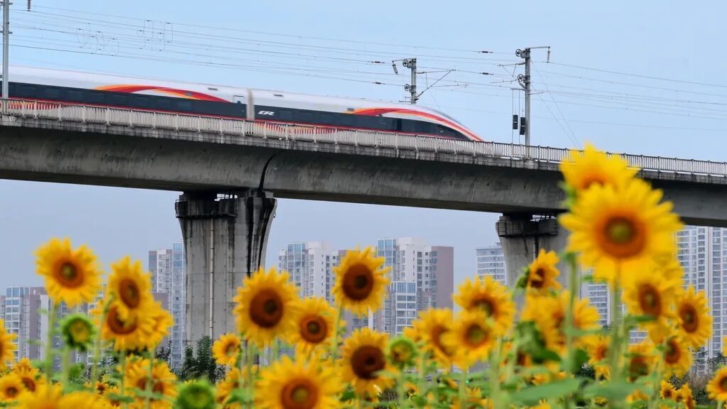 事关出行！火车票最低4折，涉及1300余趟动车组