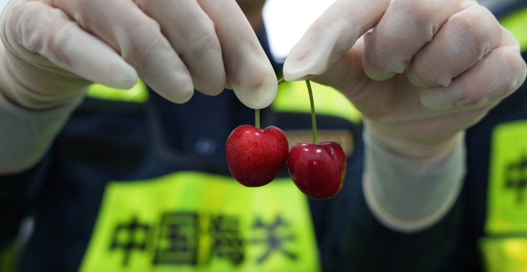 7.3吨！凌晨抵杭！今年首鲜