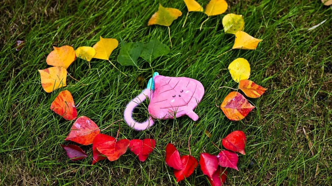 南京，你“叶”太可爱了！