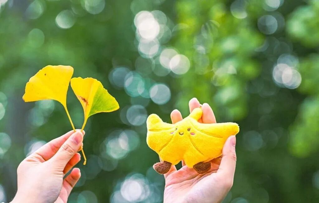 南京，你“叶”太可爱了！