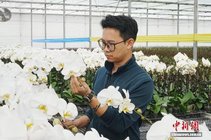 台青云南创业记：咖啡、鲜花、旅居中的两岸发展协奏曲