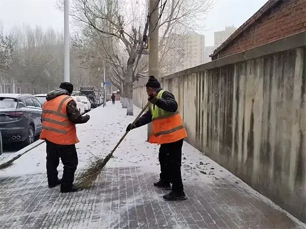 以雪为令！哈尔滨清冰雪大军即时作业，守护城市交通秩序