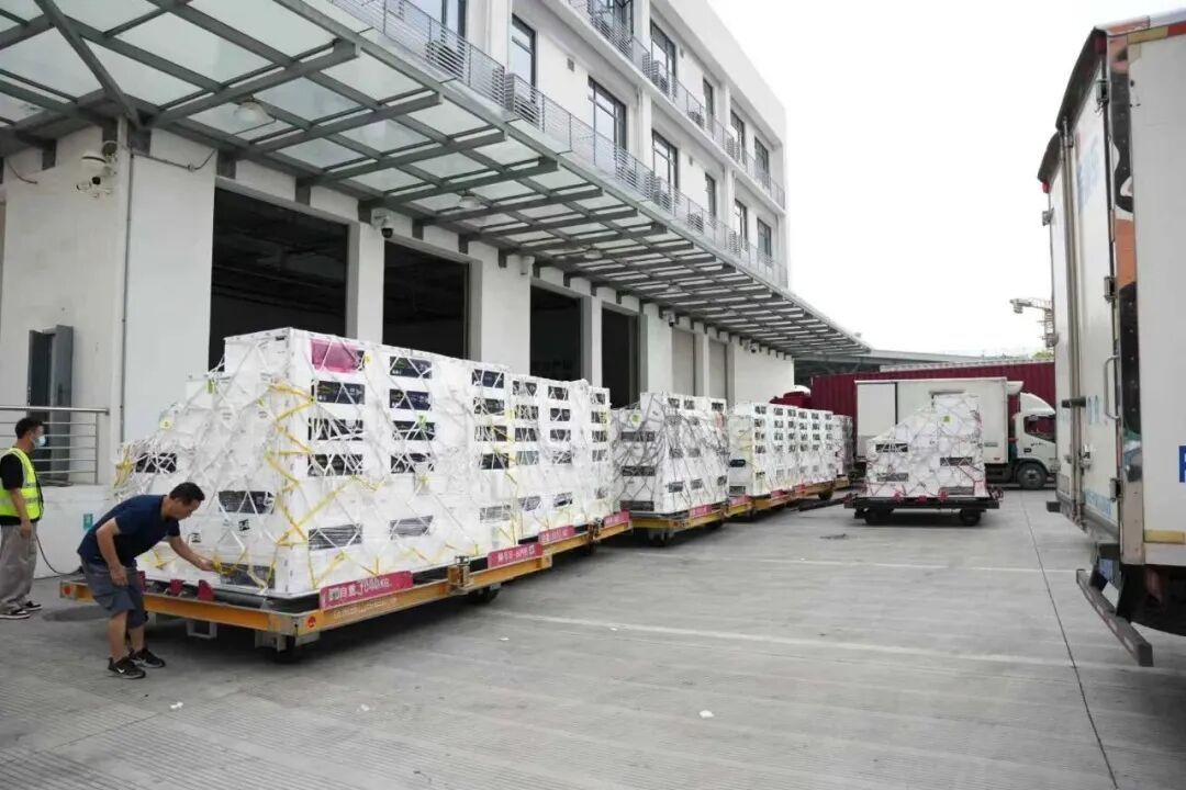 7.3吨！凌晨抵杭！今年首鲜