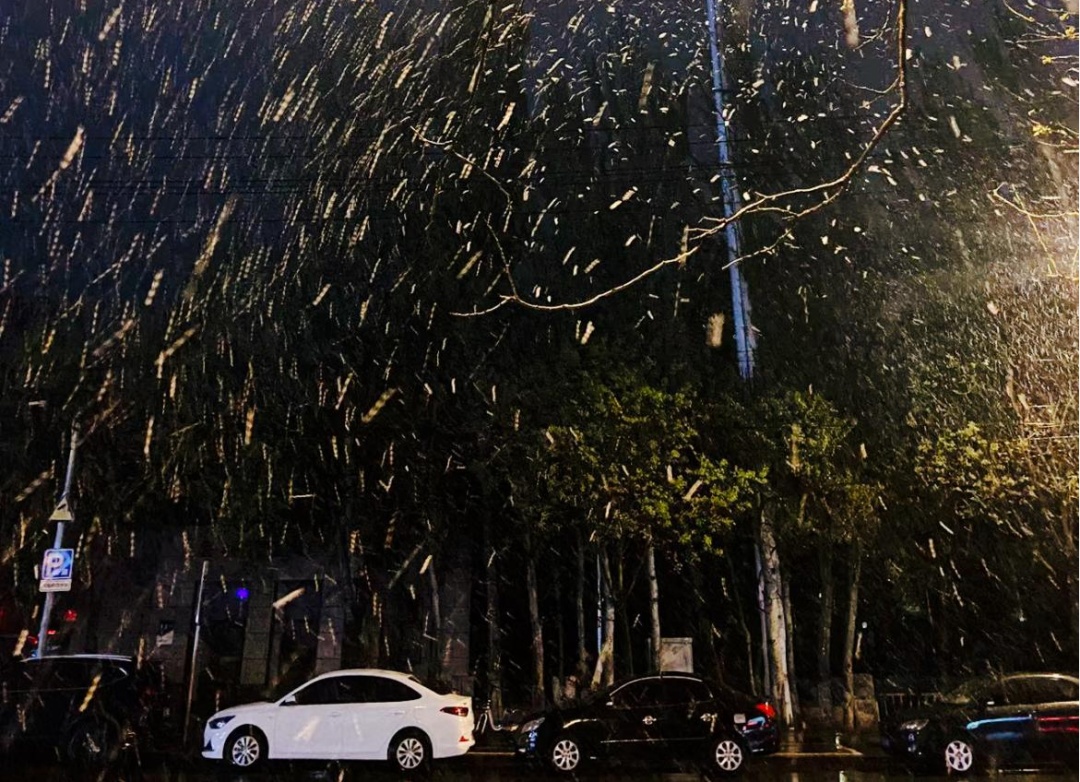 辽宁大范围雨雪已“到货”！接下来要更冷了！