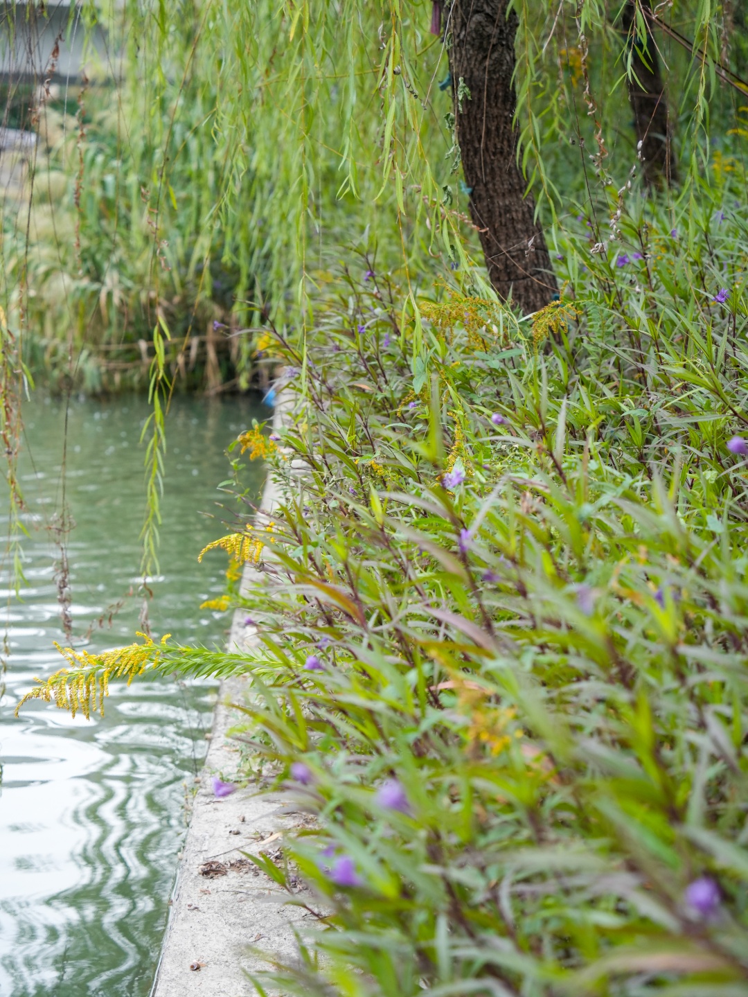 杭州多地已出现，看见立即上报！切记不要直接动手