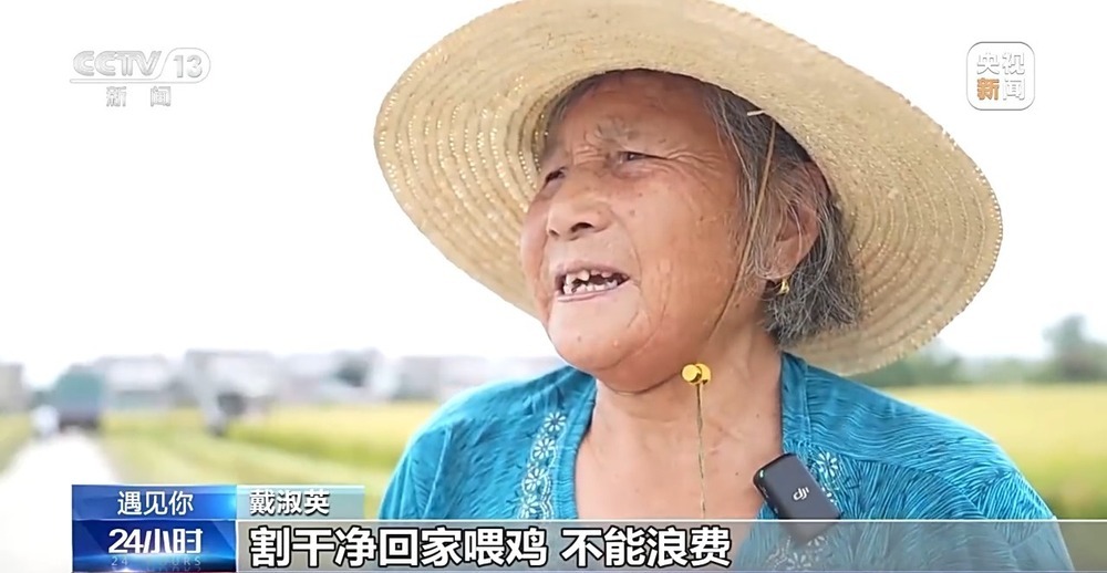 遇见你丨“80”后种田奶奶化身新农人 操作无人机满田飞 遇见你丨“80”后种田奶奶化身新农人 操作无人机满田飞