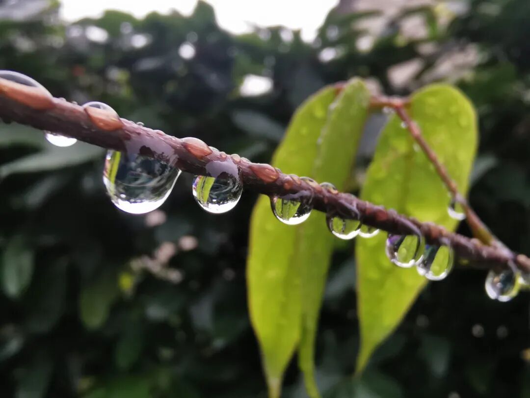 未来三天，贵阳低温阴雨天气持续