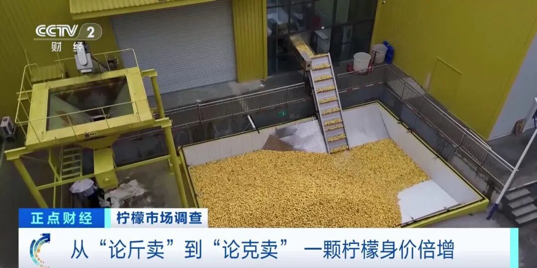 价格暴涨！从“论斤卖”到“论克卖”......