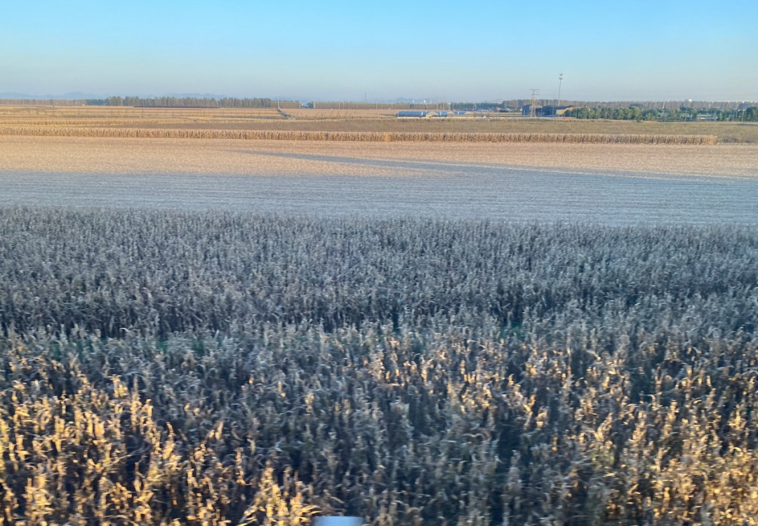 辽宁大范围雨雪已“到货”！接下来要更冷了！